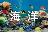 《海洋奇緣》觀后感(15篇)