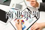 商業(yè)策劃(實(shí)用)