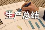 2022年關于企業(yè)安全生產總結