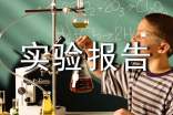 實(shí)驗(yàn)報(bào)告范文