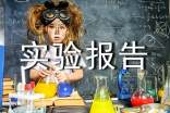 大學(xué)實驗報告