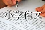 家園小學(xué)作文