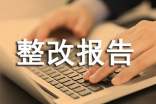 自查整改報告