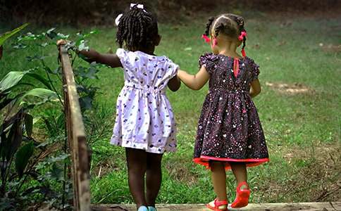 ����(y��u)�㣩�P�ڱ�������