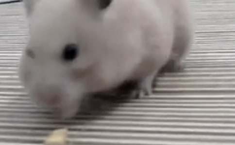 ����}������150�֣�ͨ��4ƪ��