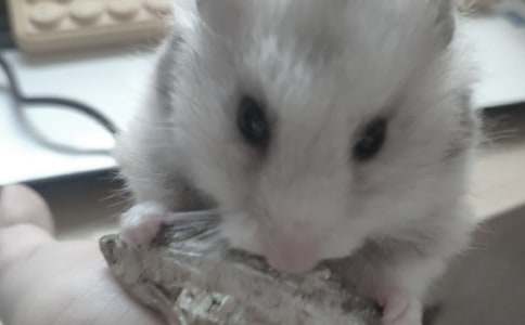 ����(y��u)�㡿С�}������