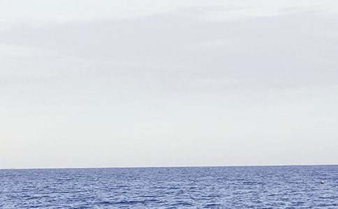 ���P(gu��n)������300��4ƪ