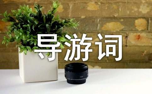 ����ʯ�ֵČ�(d��o)���~