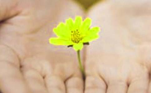 ��H��Ǹ���ŅR��13ƪ