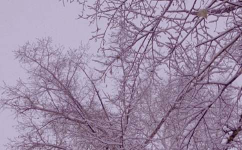 ����ů�����15ƪ[��(y��u)��]