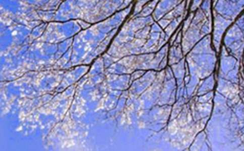 ����Ļ�����600��7ƪ