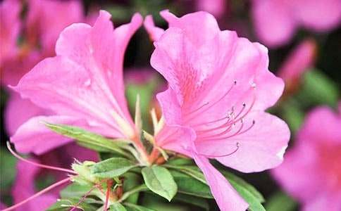 �����Ķ��N������