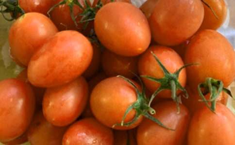 ����(y��u)�㣩���ѳ�������5ƪ