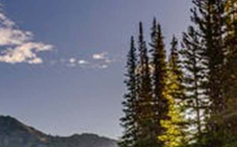 ���؂䡿���p�L(f��ng)��������ƪ