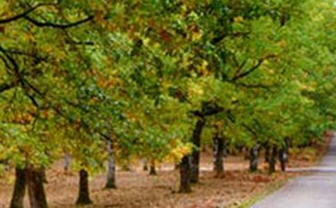 ���p�L(f��ng)��������ƪ