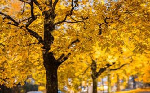 ���p�L(f��ng)������600��3ƪ