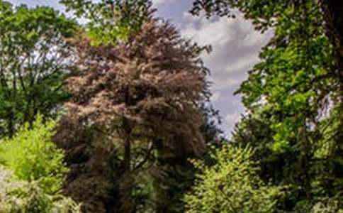 ���x���p�L(f��ng)������4ƪ