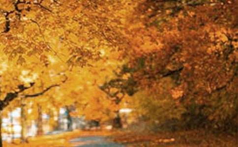 �Ҿ���һ���L(f��ng)����(y��u)������650��