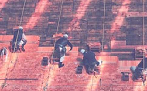 �����ϣ�����ʩ�������ƶ�