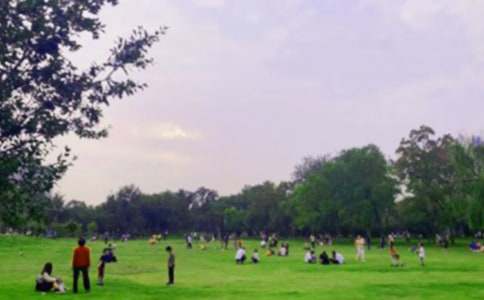 ���@��ӛ����15ƪ���]��