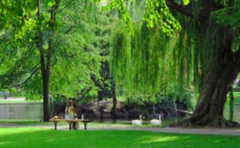 ���õĹ��@����500�փ�(y��u)�㡾7ƪ��