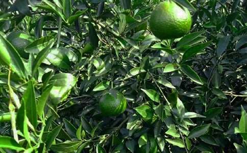 ���x���@����400����ƪ