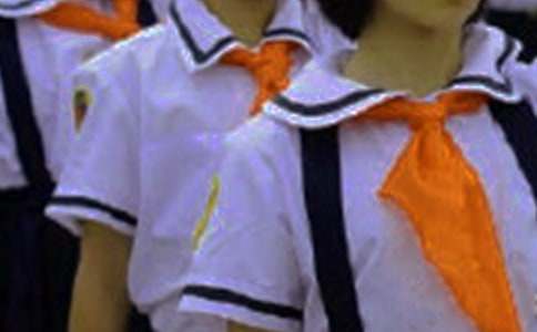 (優(yōu)秀)我與紅領(lǐng)巾作文15篇