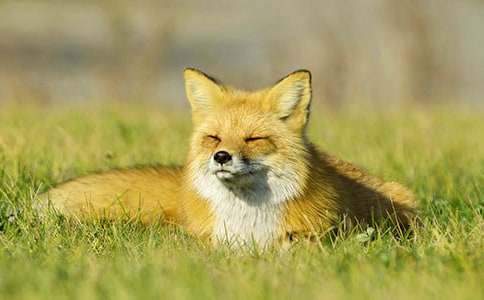 ����؂���ǵĹ��¡��x���11ƪ