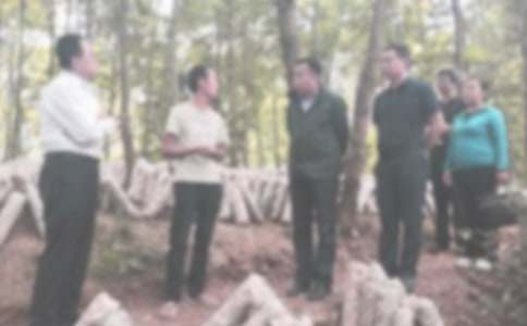 �o(j��)�z�����˹���Ӌ��