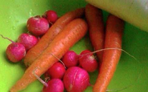 ���������ĵ��w��(hu��)500�֣�ͨ��29ƪ��