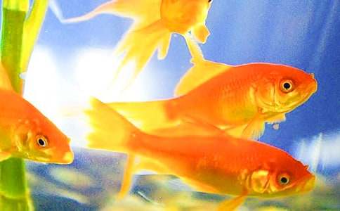 ����ϲ�g��С��(d��ng)����~(y��)����