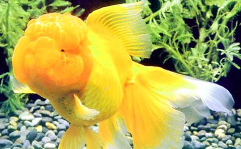 С���~���ă�(y��u)��[10ƪ]