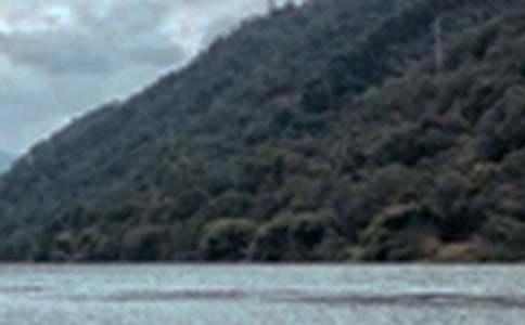 ��ɫ�ĳ�������400��4ƪ