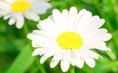 ��ϲ�g�Ļ��ջ�����10ƪ