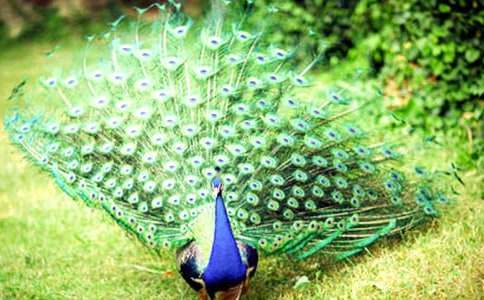 ������g(sh��)�������Ŀ�ȸ���̰�