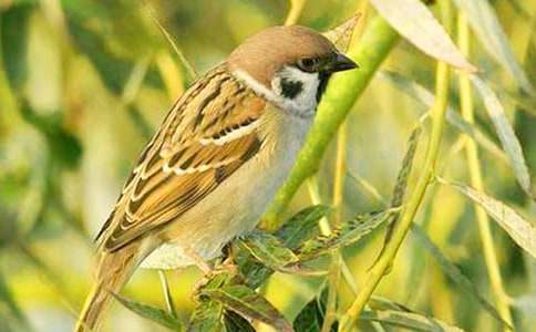 ��ȸ���꼉(j��)����