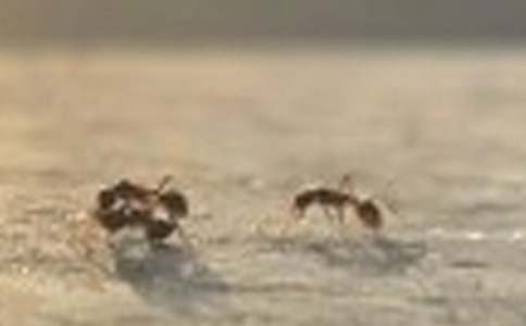 С���w���Α�̰���Λρ�ᶹ��ϥ������