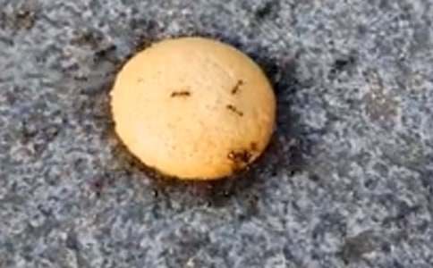 ���xΛρ��ӛ����300�־�ƪ