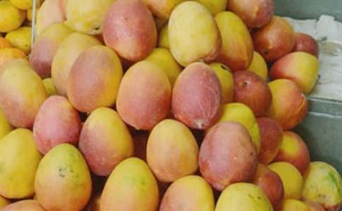 ����(y��u)�㡿�óԵ�â������5ƪ