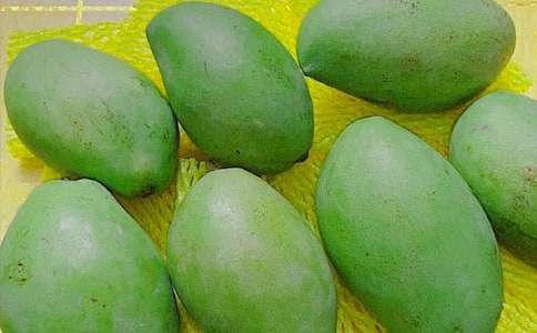 芒果樹作文15篇(優(yōu)秀)