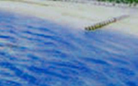 �l(xi��ng)����������350��