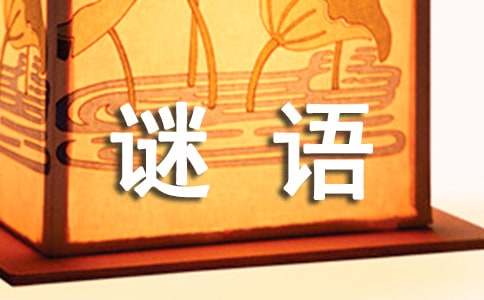 數(shù)字謎語及答案(精選6篇)