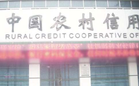 農(nóng)村信用社個(gè)人年終總結(jié)