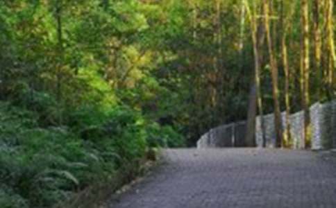 ��ɽ����600��(��(y��u)��6ƪ)