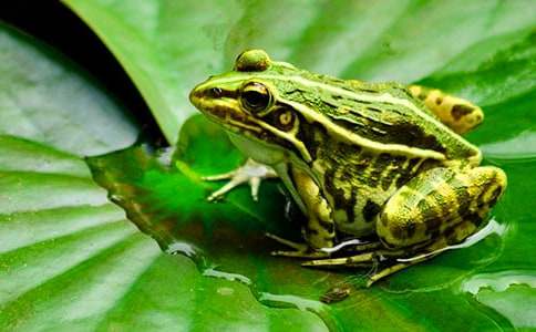 �w�����옷(l��)��С����_�а�̰�