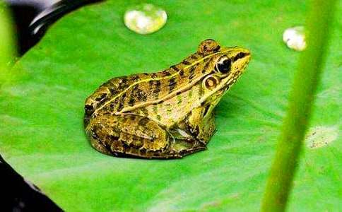 С����׽���x����w���̰�