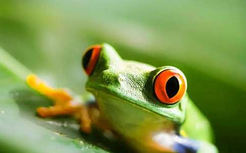 һֻ���ܵ��������ă�(y��u)�㣨5ƪ��