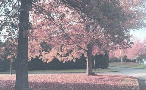 С�W�̄չ���Ӌ���＾ģ��