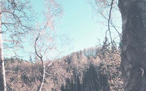 �＾С�W(xu��)��ȫ����Ӌ(j��)��12ƪ