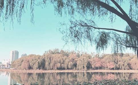 2022���＾���ڹ���Ӌ��